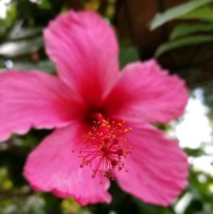 Meet your Posher, Zander